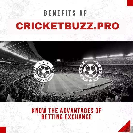 New Cricket ID: A Comprehensive Guide to Getting Started with Online Cricket Betting