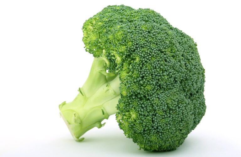The Surprising Health Benefits of Fermented Foods: Promoting Gut Microbiome Diversity