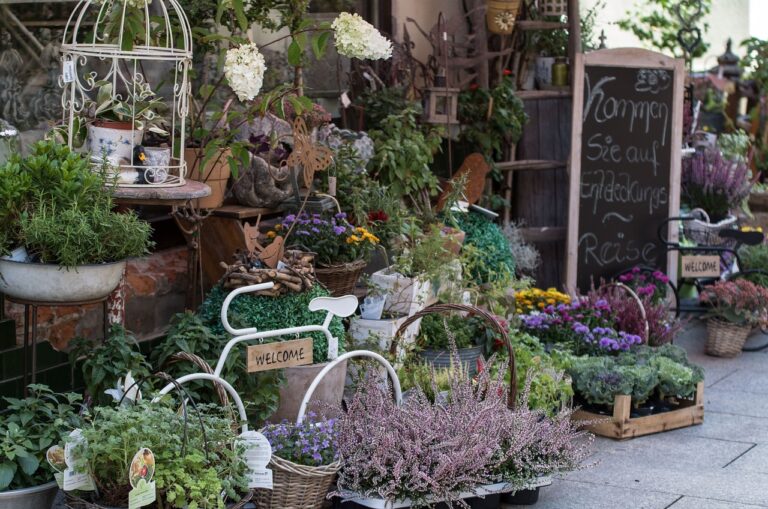 The Importance of Florist Co-ops: Allpannel, Lotus bhai, Allpaanel com mahadev book login