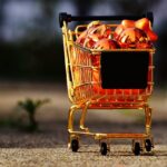 Goexch9 Review: Features, Benefits, and Seamless Integration with Vlbook